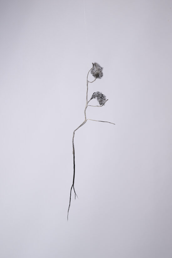 Nature fantôme 9