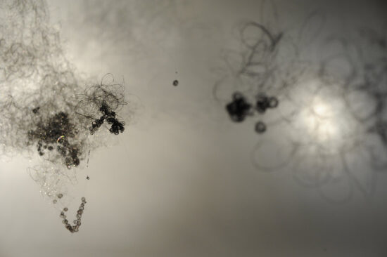 Paysage (installation) 2011